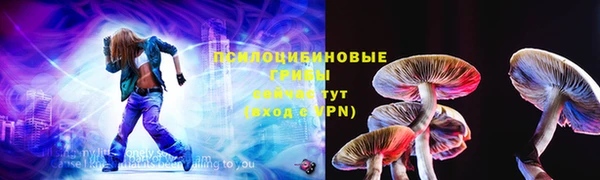 не бодяженный Горно-Алтайск