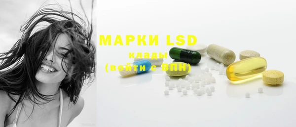 ПСИЛОЦИБИНОВЫЕ ГРИБЫ Горняк