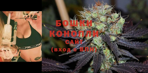 соль ск Гусь-Хрустальный