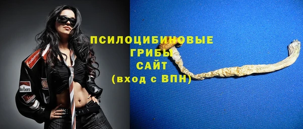 соль курить ск Гусев
