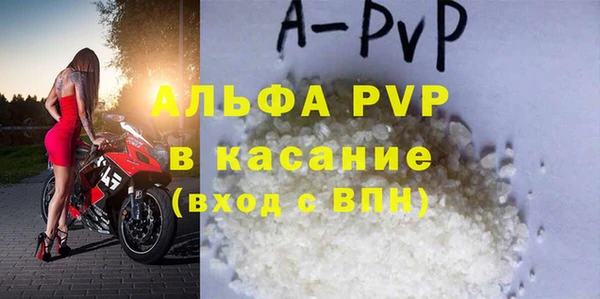 ПСИЛОЦИБИНОВЫЕ ГРИБЫ Горняк