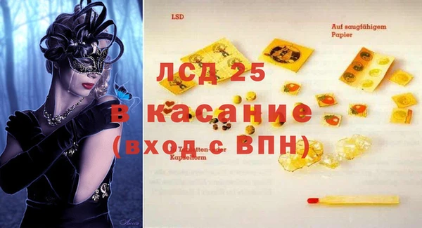 ПСИЛОЦИБИНОВЫЕ ГРИБЫ Горняк