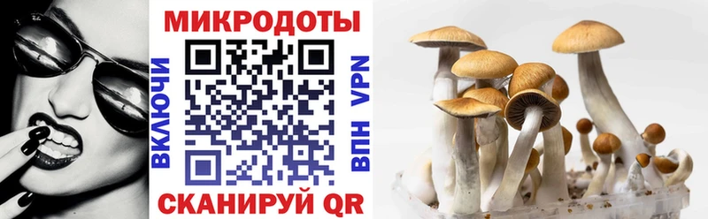 Галлюциногенные грибы Cubensis  дарнет шоп  Перевоз 